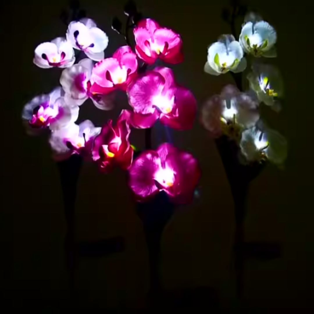 Set 4 x Lampi Solare Orhidee cu LED – Decor Romantic pentru Gradina, Tarus si Panou Solar