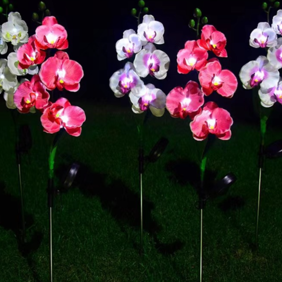 Set 4 x Lampi Solare Orhidee cu LED – Decor Romantic pentru Gradina, Tarus si Panou Solar
